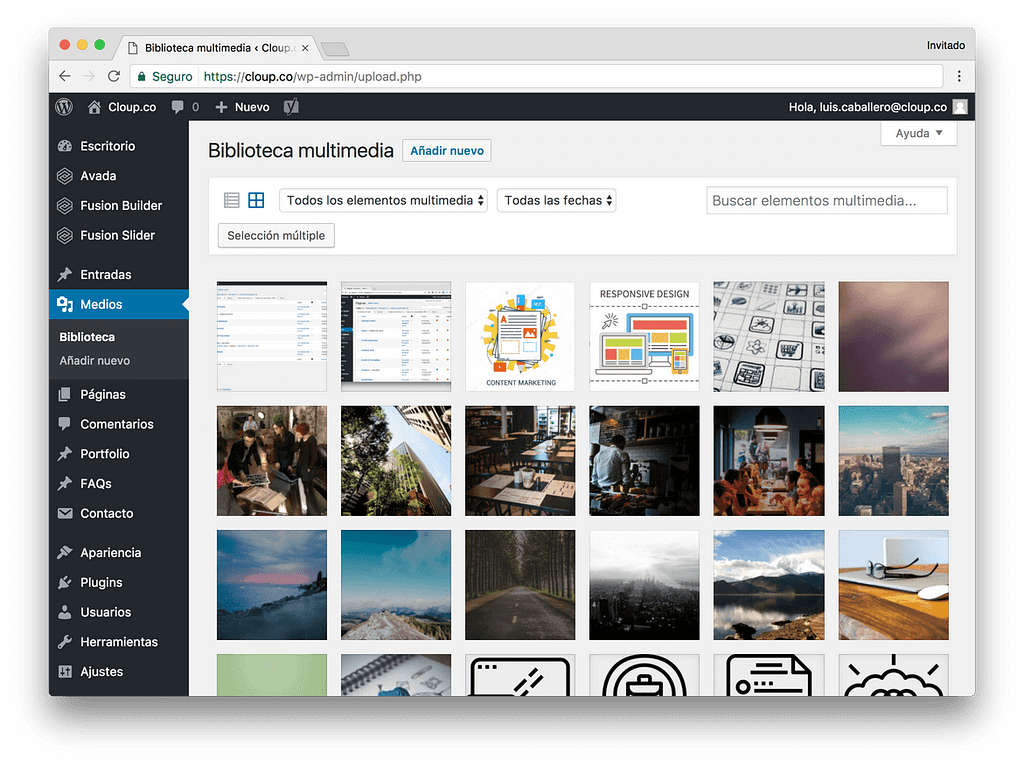 wp_multimedia Administrador de Contenidos - WordPress